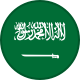 SA flag